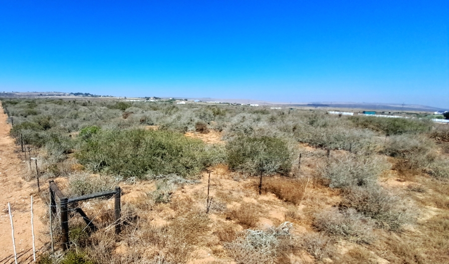 0 Bedroom Property for Sale in Trekoskraal Western Cape